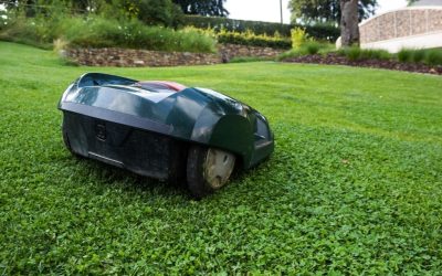 Robotplæneklipper: 5 ting du bør tjekke, før du køber
