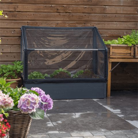 GrowCamp mini drivhus 0,7 m² (vægbed, PVC)